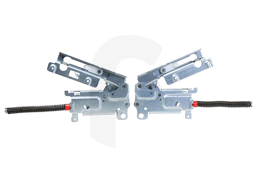 AEG Lavavajillas Juego de bisagras (bisagra de la puerta) izquierda y derecha para AEG, Electrolux y otros lavavajillas 4055474953 adecuado para entre otros FSE53610Z, EEM48331L, FD390V
