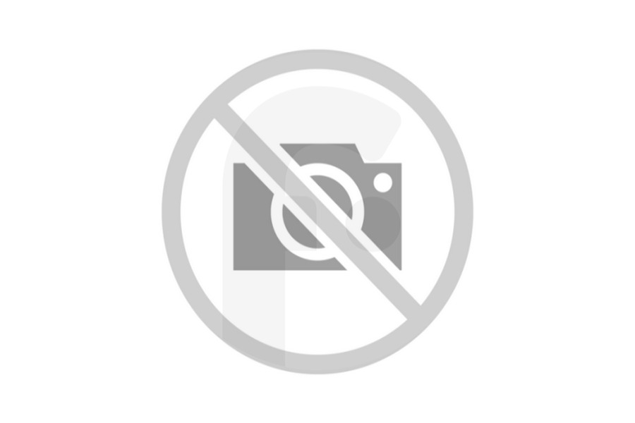 Dyson Aspiradora Accesorio para ranuras (boquilla para radiador) con cepillo plumero para Dyson aspiradora 96736801, 967368-01 adecuado para entre otros CY22 Absoluto, CY22 Parquet, CY23 Parquet